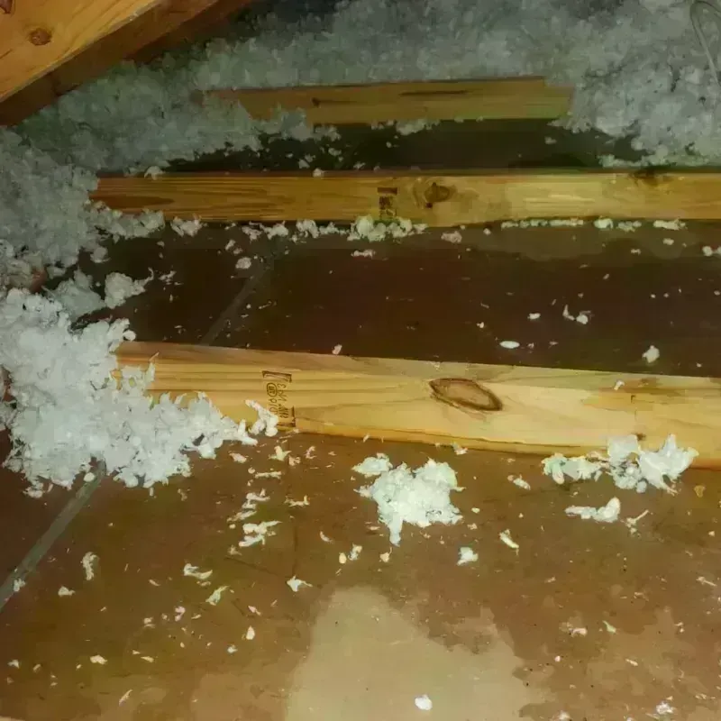 Attic Water Damage in Four Corners, MD