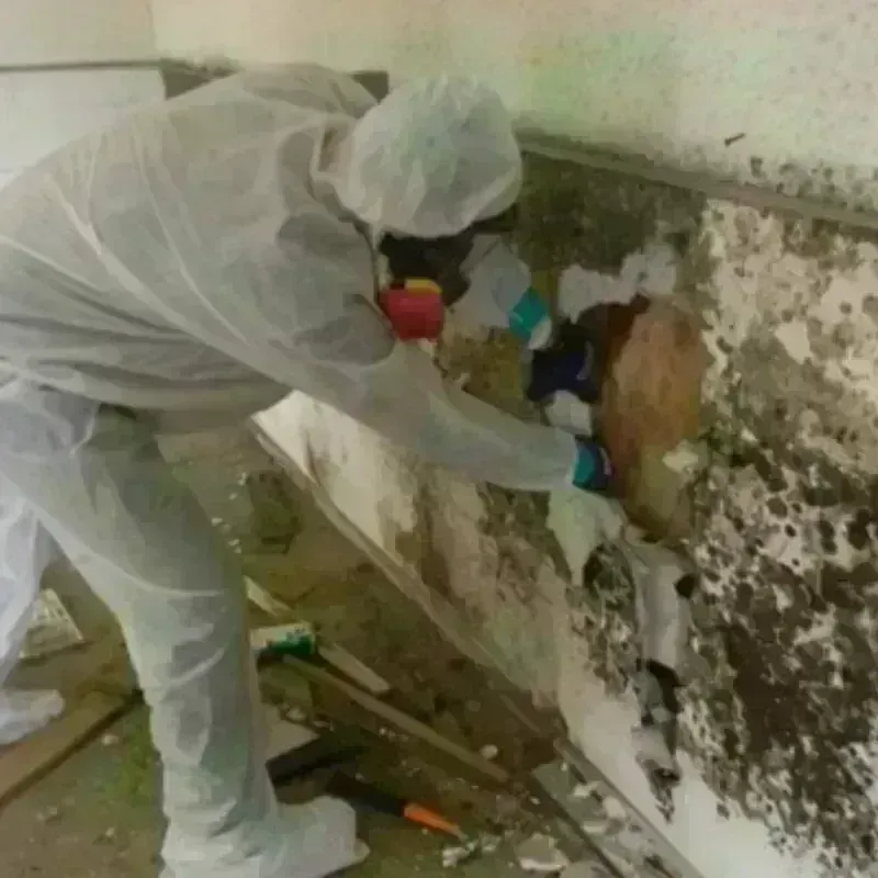 Mold Remediation and Removal in Four Corners, MD