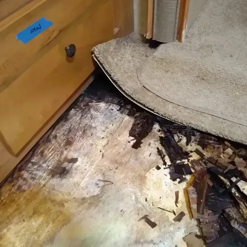 Wood Floor Water Damage in Four Corners, MD